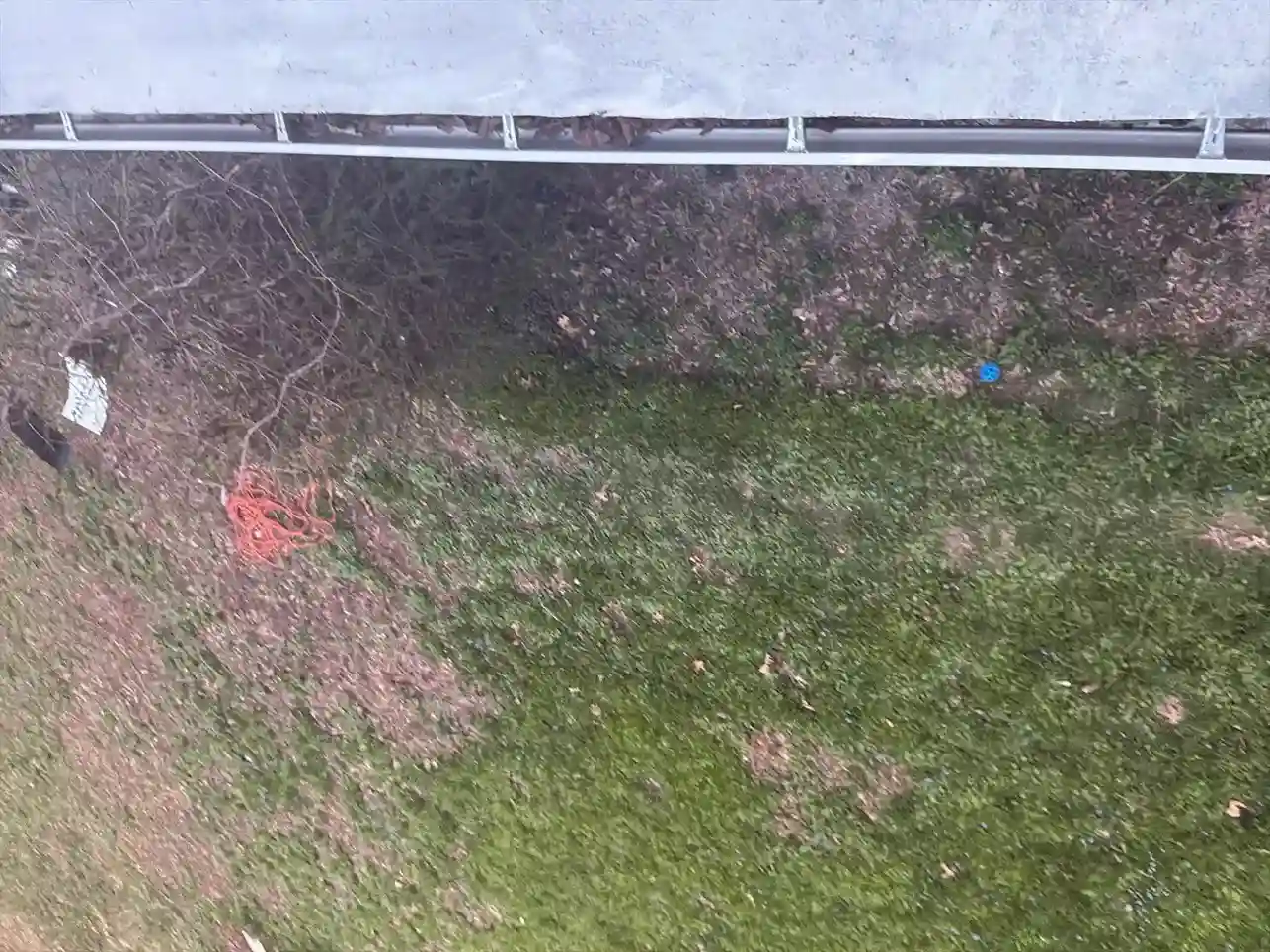 Gutter cleaning service showing leaves and debris buildup
